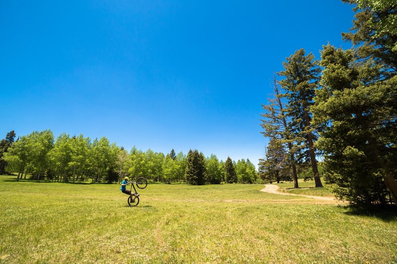 Garcia Park is green when the aspens are in full foliage during June and July and there are some awesome campsites.