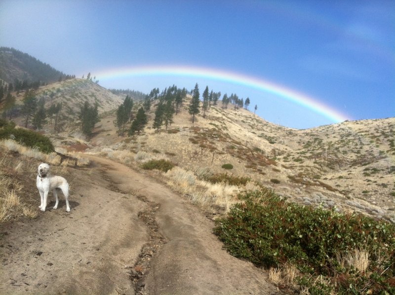 Rainbow over Vicee Canyon.