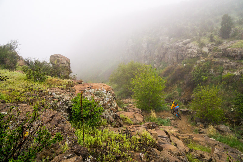 Rare foggy morning ride on the North Table Loop.