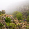 Rare foggy morning ride on the North Table Loop.