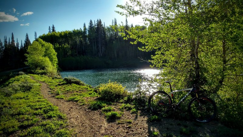 Morning sun over Shadow Lake.