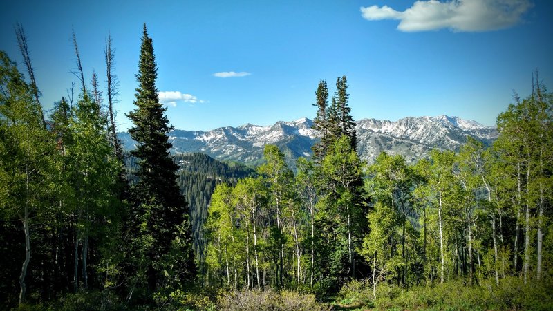 Breathtaking view towards Big Cottonwood Canyon.