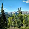 Breathtaking view towards Big Cottonwood Canyon.