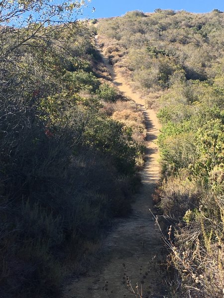 At the bottom of the steep section of East Fork.