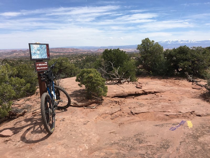 The terrain near the intersection of Mustang and Whirlwind Loops.