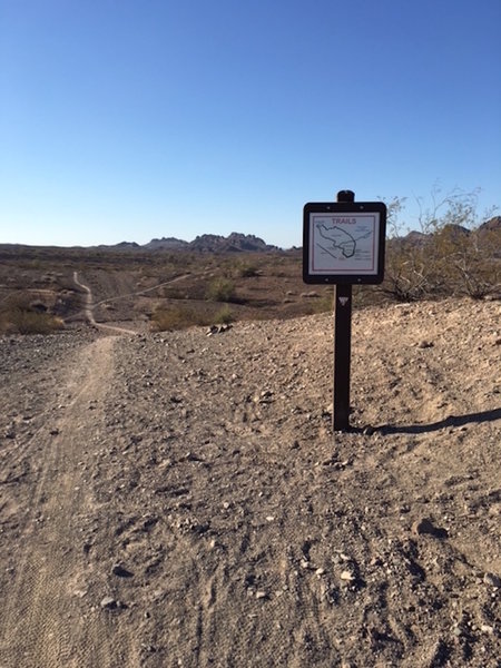 Watershed Loop Trail leading up to Sonny's turn off.