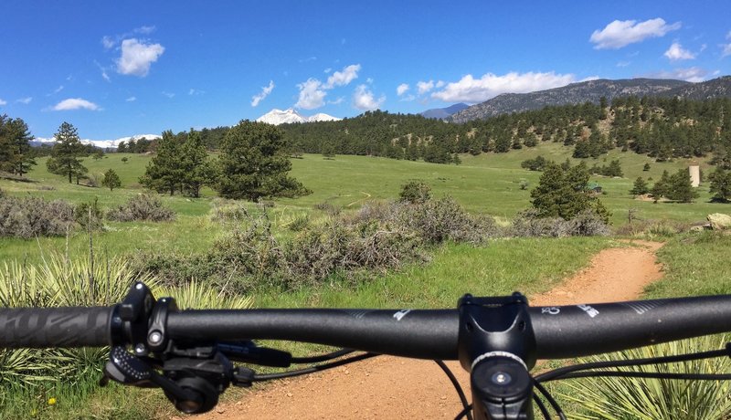 A killer way to view the world. Mt. Meeker and Longs Peak presiding over the Nelson Loop, my favorite section of local trail.