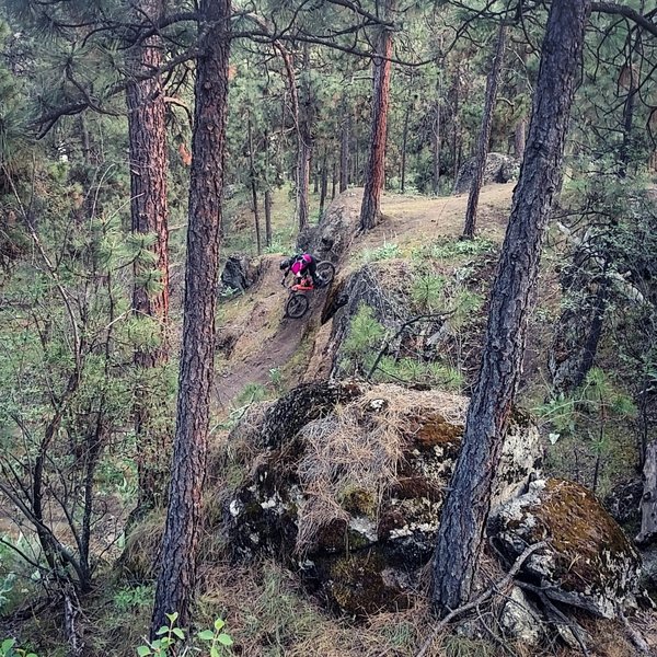 Rocks, wood features and steep decents, Good Times has a little of everything.