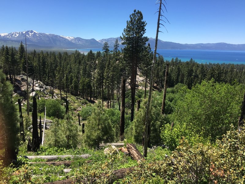 View from near where this connector meets Van Sickle Trail.