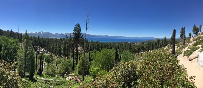 Panorama showing where this connector trail meets the Van Sick Trail (to the right).