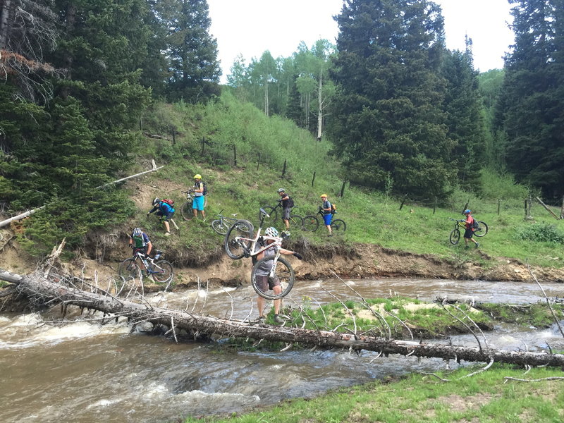 The beavers have made a mess of the western portion of this ride.  This is one of two water crossing in this area.