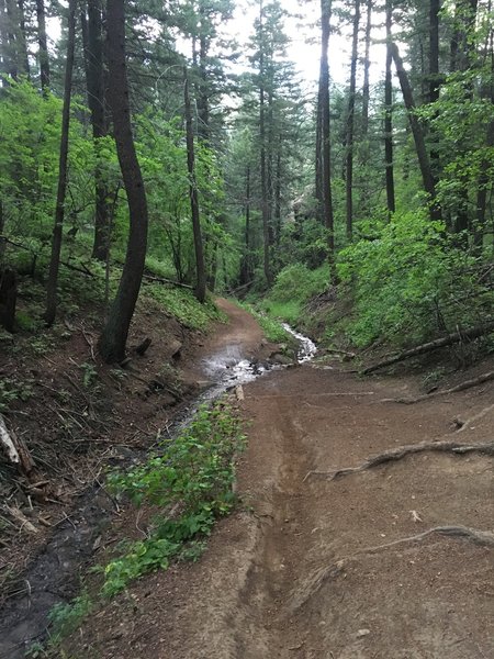 Stream crossing.