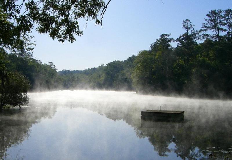 Old Levi Mill Pond.