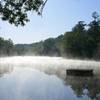 Old Levi Mill Pond.