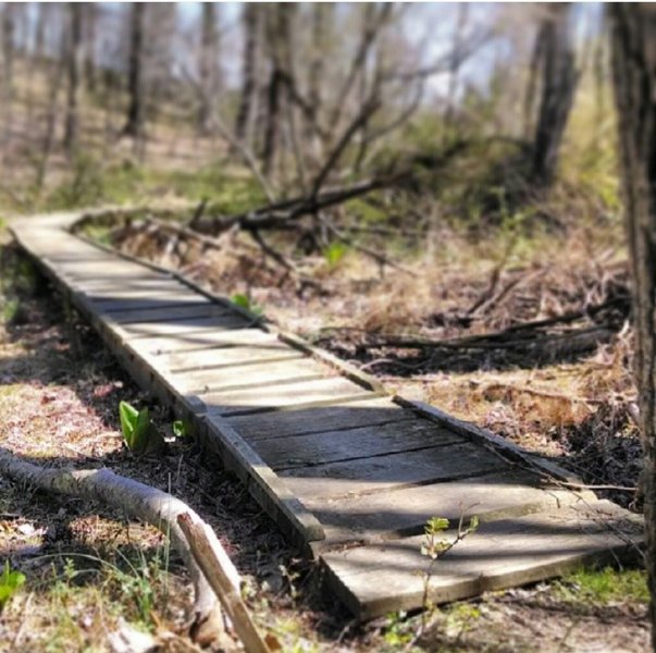 The Boardwalk.