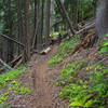 Riding down Bernard Peak Trail (#37).