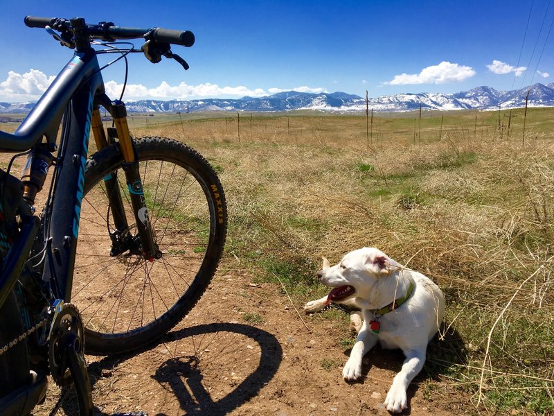 Gorgeous mountain and plains view on the way down to the reservoir. Off leash.