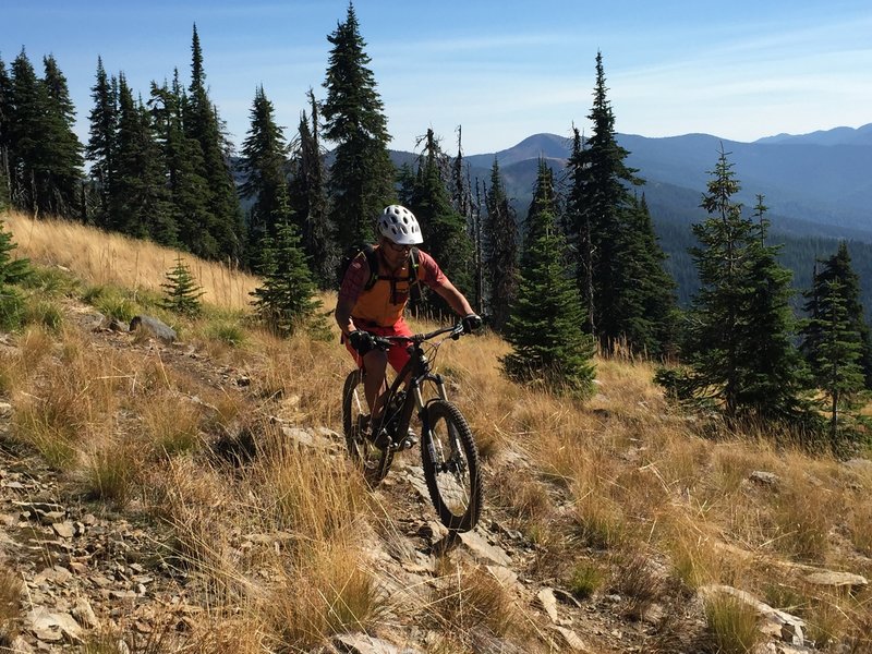 Nothing like N Idaho backcountry singletrack.