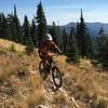 Nothing like N Idaho backcountry singletrack.