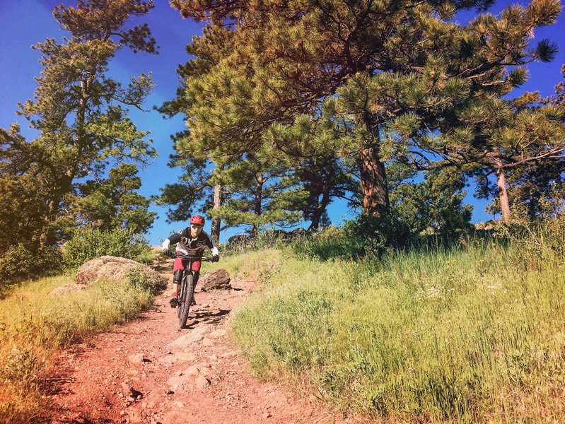 Fun descents are to be had on the upper portion of Long Horn.