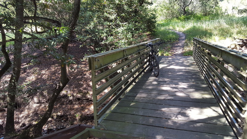 Shady bridge over Marie Creek.