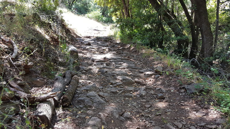 Rocky section of Bay Leaf Trail.