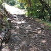 Rocky section of Bay Leaf Trail.