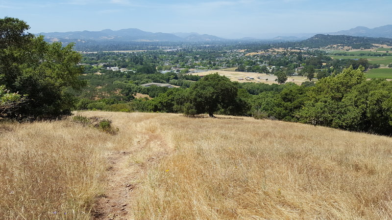 Views open up half-way down Lower Skyline Trail.