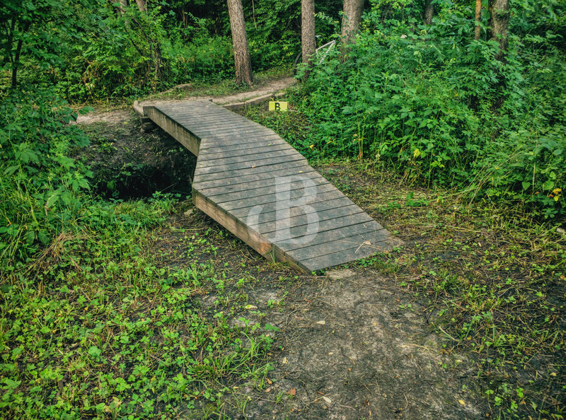 Alpha Bet Connector (ABC) creek crossing from Trail C to Trails A and B.