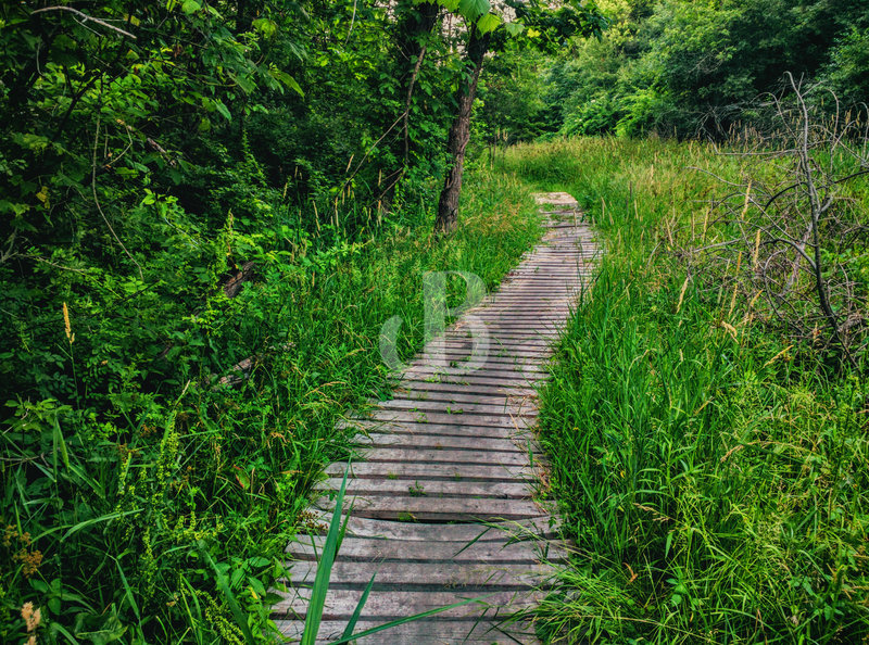 Boardwalk Empire along Trail 1