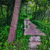 Boardwalk along Trail 1