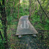 Boardwalk along Trail 3.