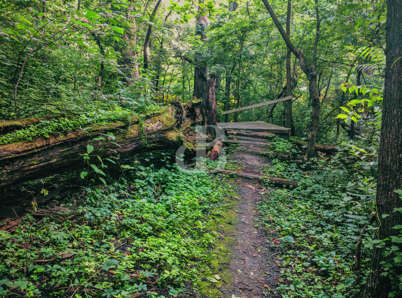 Table Top on Trail A.