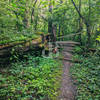 Table Top on Trail A.