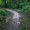 Another turf stone flood control project along Trail 2.