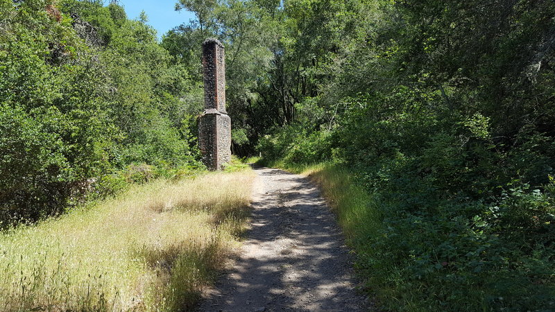 Old homestead near Lake Marie.