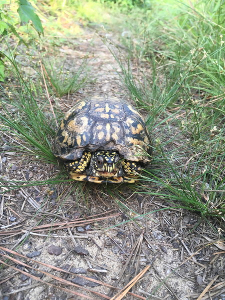 Beware of trail hazards.