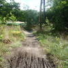 Singletrack running up to the Kibbekoele. Technical singletrack with some jumps and drops from here on.