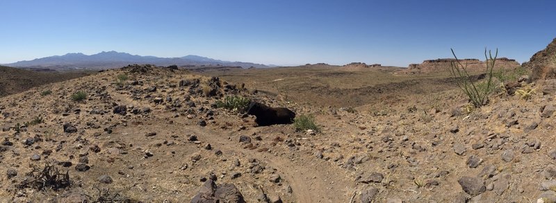 Cow laying on Coyote Pass saddle. View of Tech Ridge area of Foothills Rim & Monolith Gardens Trail across the highway.