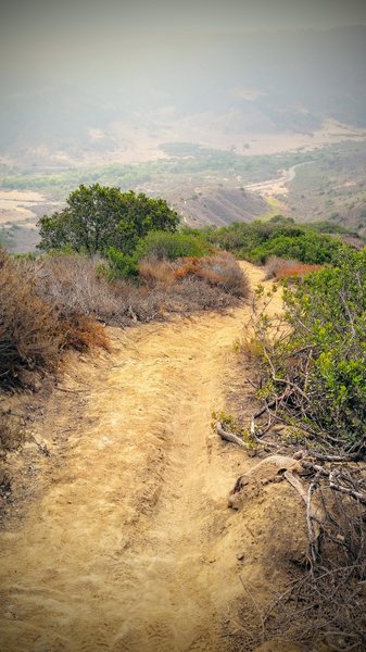 Ridgeline Trail, not too many turns on the way down to the bottom.