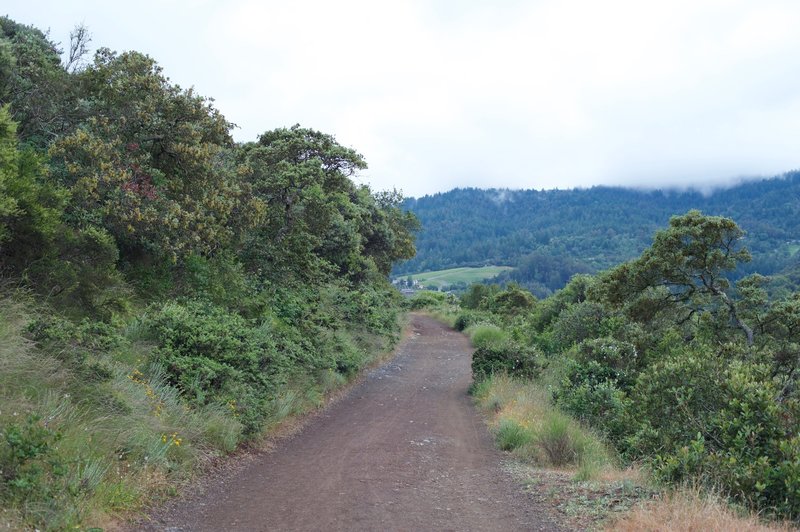 The trail as it departs the Jones Trail and makes its way back toward the Lexington Reservoir.