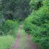 As the trail descends along the backside of the preserve.