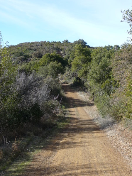 Sierra Azul Open Space Preserve - Kennedy Trail. with permission from Alexander Avtanski