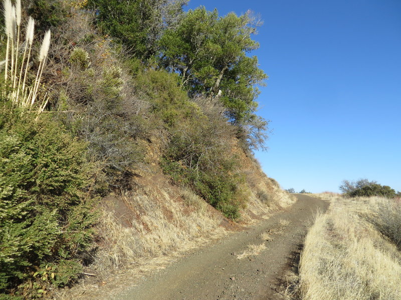 Sierra Azul Open Space Preserve. with permission from Alexander Avtanski