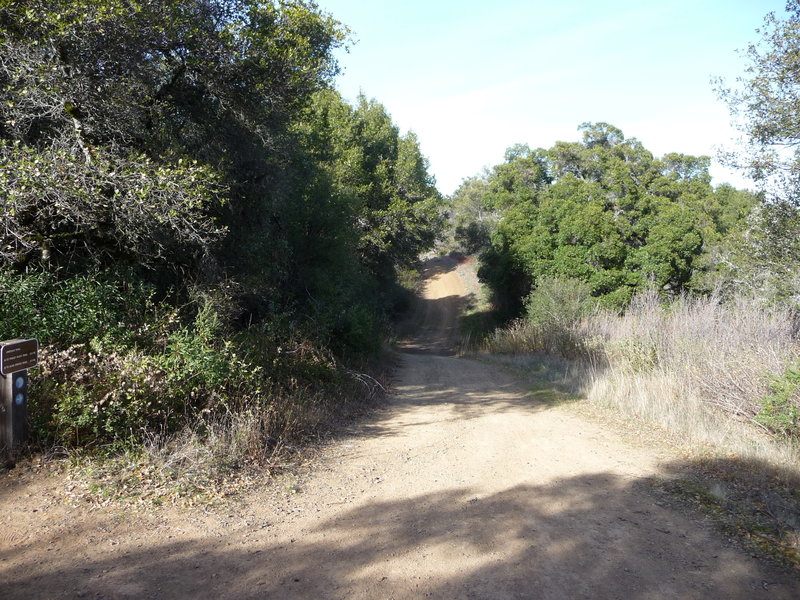 Sierra Azul Open Space Preserve - Kennedy and Limekiln junction. with permission from Alexander Avtanski