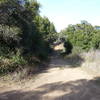 Sierra Azul Open Space Preserve - Kennedy and Limekiln junction. with permission from Alexander Avtanski