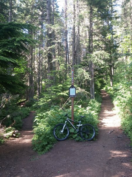 Junction of Trail 100 and 110.