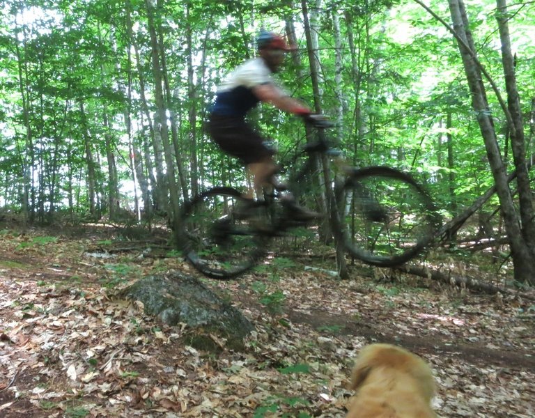 Catching some air while my trusty trail dog watches!