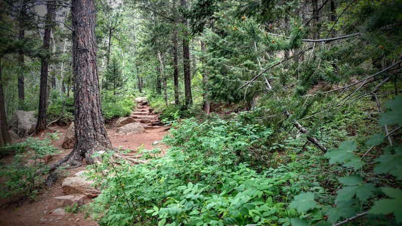 One of many rock gardens along the trail.