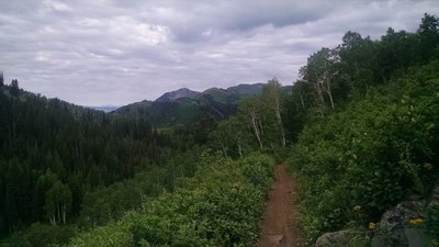Looking west down the trail, refreshing morning ride